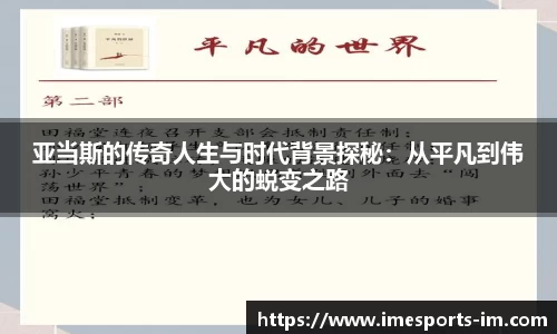 IM电竞